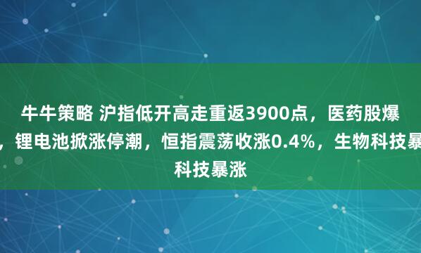牛牛策略 沪指低开高走重返3900点，医药股爆发，锂电池掀涨停潮，恒指震荡收涨0.4%，生物科技暴涨