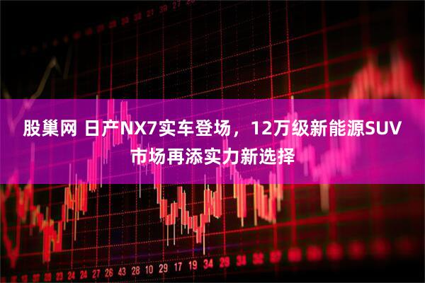 股巢网 日产NX7实车登场，12万级新能源SUV市场再添实力新选择
